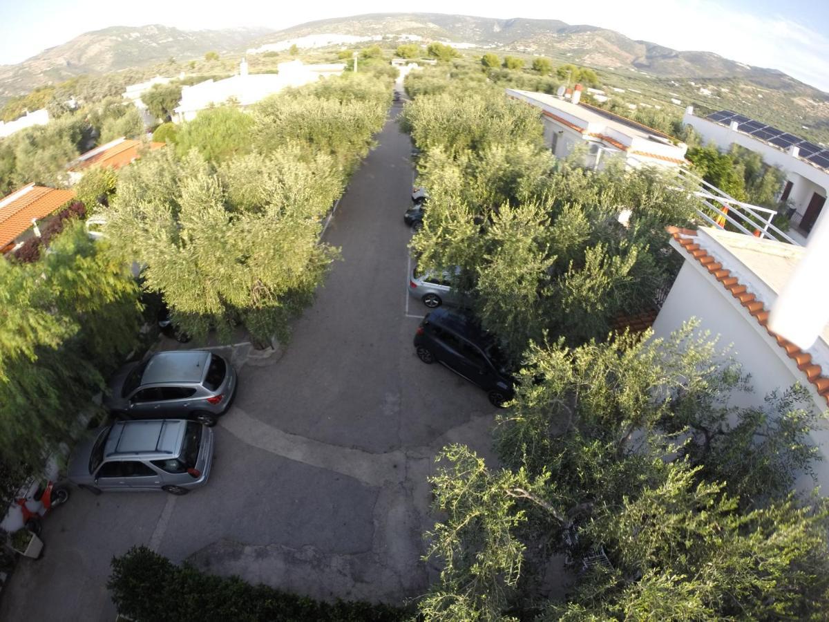 Residence Adriatico Mattinata Dış mekan fotoğraf