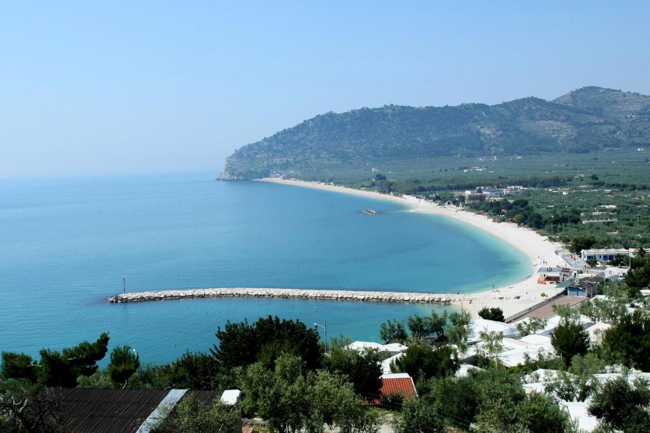 Residence Adriatico Mattinata Dış mekan fotoğraf