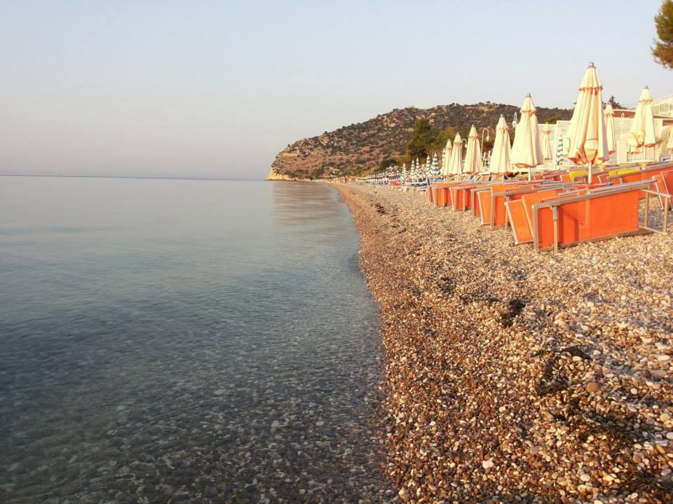 Residence Adriatico Mattinata Dış mekan fotoğraf