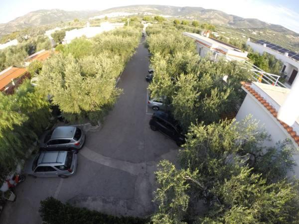 Residence Adriatico Mattinata Dış mekan fotoğraf